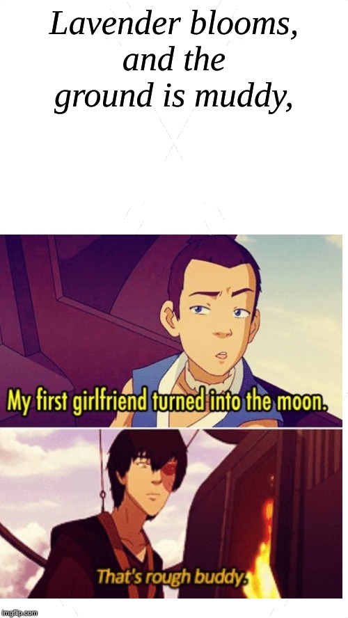 ThAT's RoUGh BUddY |  Lavender blooms,
and the ground is muddy, | image tagged in avatar the last airbender,zuko,sokka,poetry | made w/ Imgflip meme maker