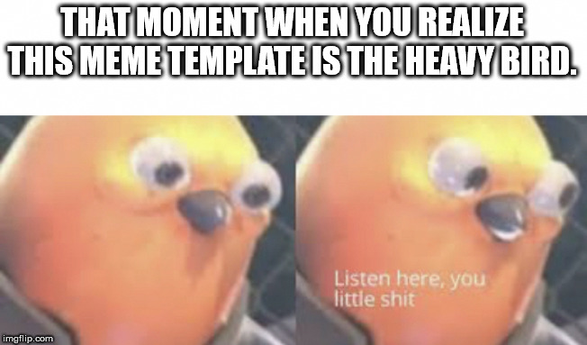 Listen here you little shit bird | THAT MOMENT WHEN YOU REALIZE THIS MEME TEMPLATE IS THE HEAVY BIRD. | image tagged in listen here you little shit bird | made w/ Imgflip meme maker