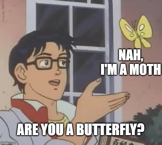 Is This A Pigeon | NAH, I'M A MOTH; ARE YOU A BUTTERFLY? | image tagged in memes,is this a pigeon | made w/ Imgflip meme maker