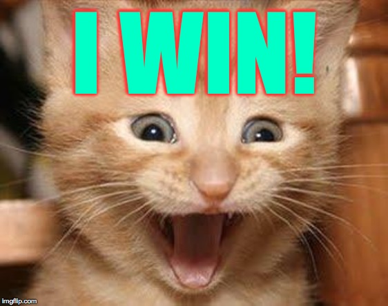 Excited Cat Meme | I WIN! | image tagged in memes,excited cat | made w/ Imgflip meme maker