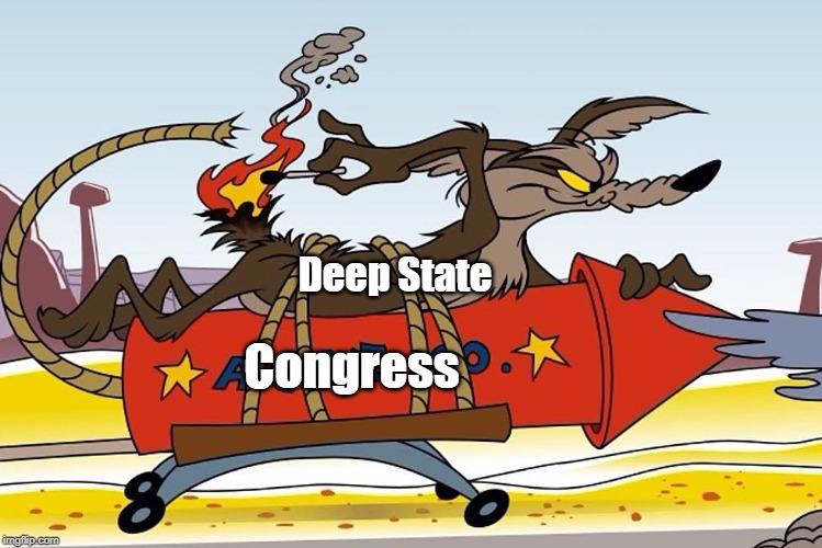 Deep State - Congress | Deep State; Congress | image tagged in wile e coyote,acme,funny memes,political meme,deep state,congress | made w/ Imgflip meme maker
