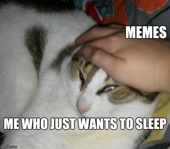 Grab Cat | MEMES; ME WHO JUST WANTS TO SLEEP | image tagged in grab cat | made w/ Imgflip meme maker