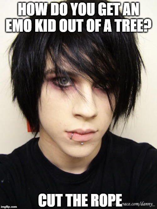 He Be Swinging | HOW DO YOU GET AN EMO KID OUT OF A TREE? CUT THE ROPE | image tagged in emo kid | made w/ Imgflip meme maker