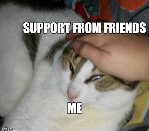 Grab Cat |  SUPPORT FROM FRIENDS; ME | image tagged in grab cat | made w/ Imgflip meme maker