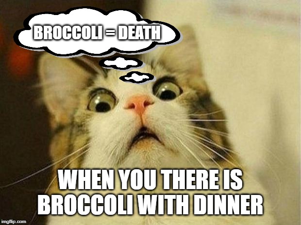 Broccoli is bad | BROCCOLI = DEATH; WHEN YOU THERE IS BROCCOLI WITH DINNER | image tagged in memes,scared cat,broccoli,dinner | made w/ Imgflip meme maker