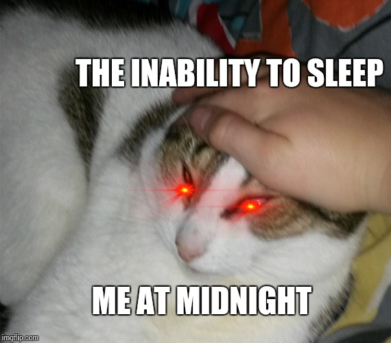 Grab Cat | THE INABILITY TO SLEEP; ME AT MIDNIGHT | image tagged in grab cat | made w/ Imgflip meme maker