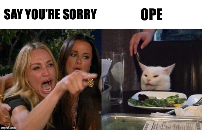 Woman Yelling At Cat Meme | SAY YOU’RE SORRY; OPE | image tagged in memes,woman yelling at cat | made w/ Imgflip meme maker