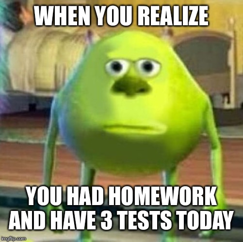 Mike wasowski sully face swap | WHEN YOU REALIZE; YOU HAD HOMEWORK AND HAVE 3 TESTS TODAY | image tagged in mike wasowski sully face swap | made w/ Imgflip meme maker