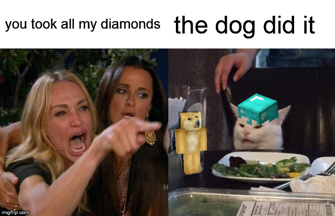 Woman Yelling At Cat Meme | you took all my diamonds; the dog did it | image tagged in memes,woman yelling at cat,minecraft | made w/ Imgflip meme maker