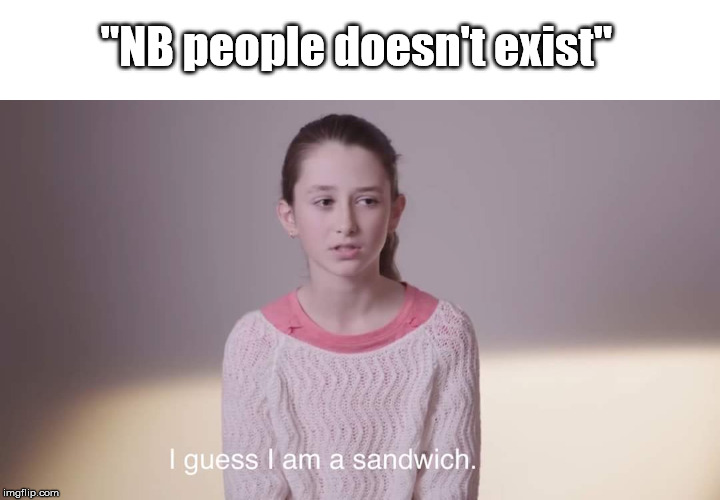 I guess I am a sandwich | "NB people doesn't exist" | image tagged in trans,gender,nb | made w/ Imgflip meme maker
