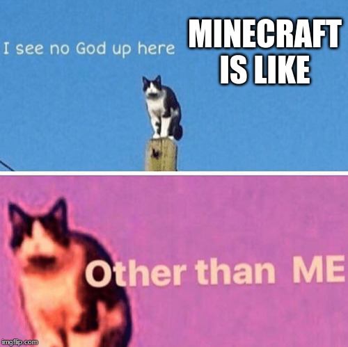 Hail pole cat | MINECRAFT IS LIKE | image tagged in hail pole cat | made w/ Imgflip meme maker