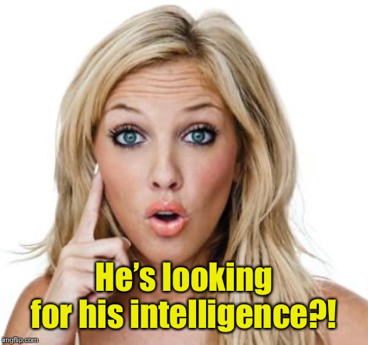 Dumb blonde | He’s looking for his intelligence?! | image tagged in dumb blonde | made w/ Imgflip meme maker