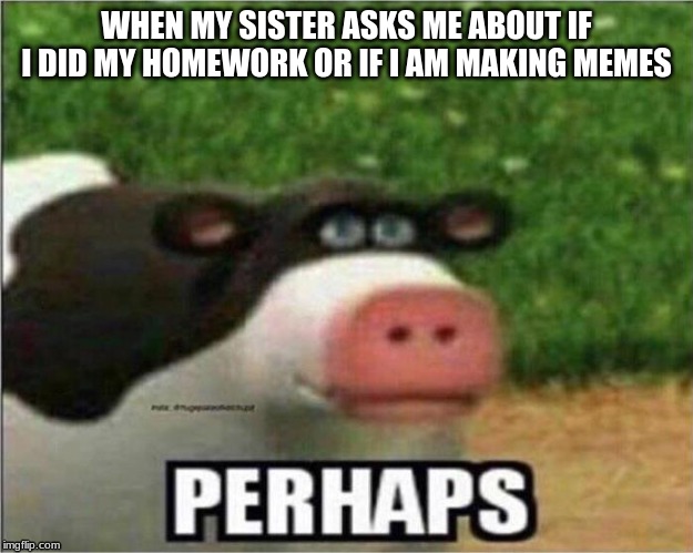 Perhaps Cow | WHEN MY SISTER ASKS ME ABOUT IF I DID MY HOMEWORK OR IF I AM MAKING MEMES | image tagged in perhaps cow | made w/ Imgflip meme maker