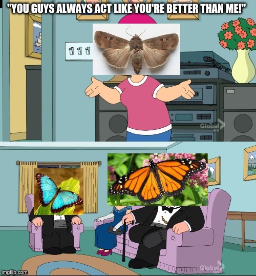 image tagged in memes,butterfly | made w/ Imgflip meme maker