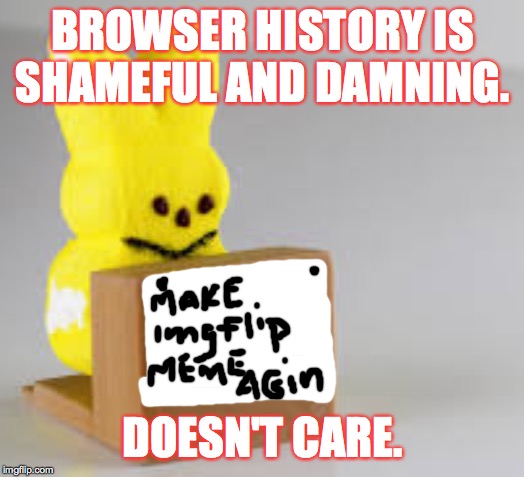 BROWSER HISTORY IS SHAMEFUL AND DAMNING. DOESN'T CARE. | made w/ Imgflip meme maker