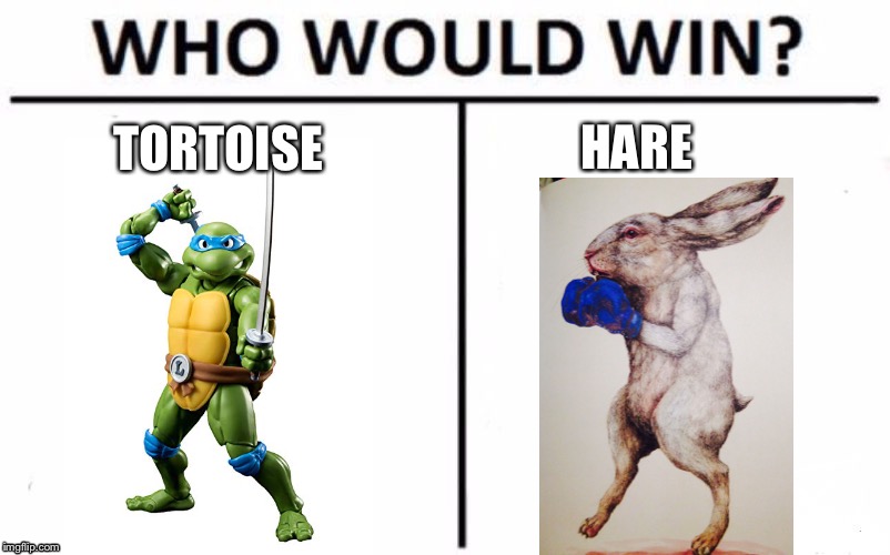 Who Would Win? Meme | HARE; TORTOISE | image tagged in memes,who would win | made w/ Imgflip meme maker