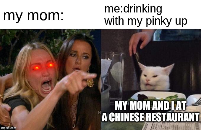Woman Yelling At Cat | my mom:; me:drinking with my pinky up; MY MOM AND I AT A CHINESE RESTAURANT | image tagged in memes,woman yelling at cat | made w/ Imgflip meme maker