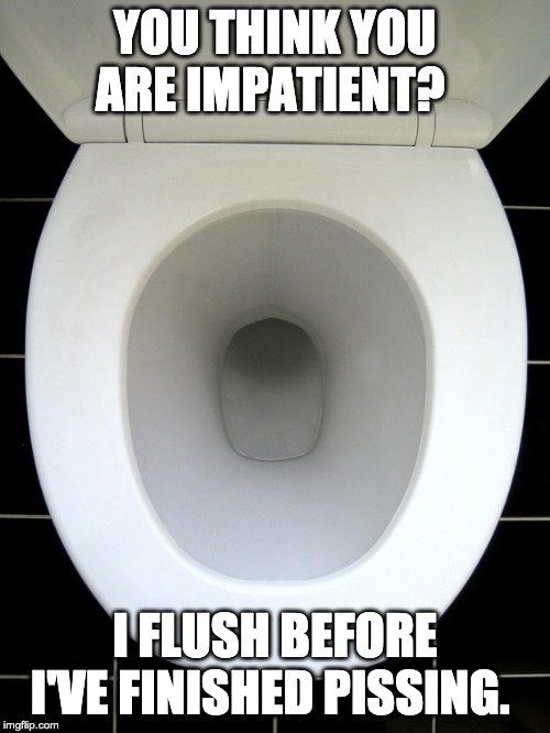 TOILET | YOU THINK YOU ARE IMPATIENT? I FLUSH BEFORE I'VE FINISHED PISSING. | image tagged in toilet | made w/ Imgflip meme maker