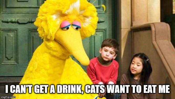 Sad Big Bird | I CAN'T GET A DRINK, CATS WANT TO EAT ME | image tagged in sad big bird | made w/ Imgflip meme maker