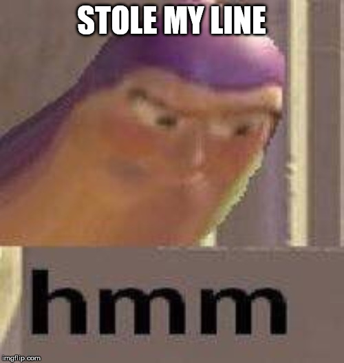 Buzz Lightyear Hmm | STOLE MY LINE | image tagged in buzz lightyear hmm | made w/ Imgflip meme maker