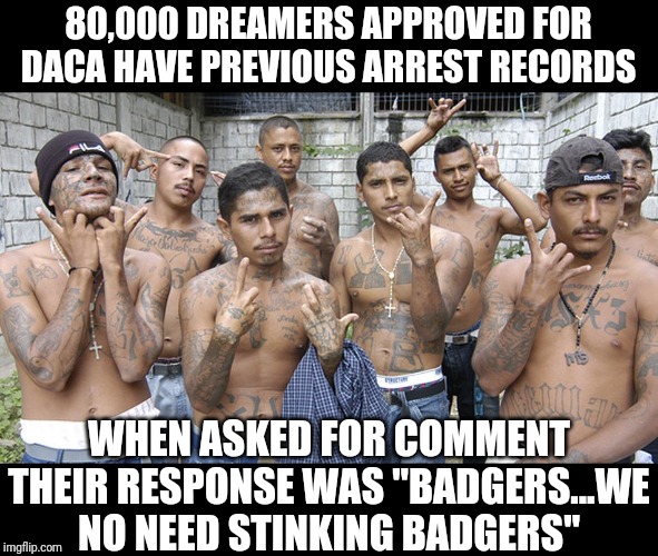 DACA...the best thing since sliced bread | 80,000 DREAMERS APPROVED FOR DACA HAVE PREVIOUS ARREST RECORDS; WHEN ASKED FOR COMMENT THEIR RESPONSE WAS "BADGERS...WE NO NEED STINKING BADGERS" | image tagged in ms13 family pic,daca,gangs,stupid criminals,dreamers,government corruption | made w/ Imgflip meme maker