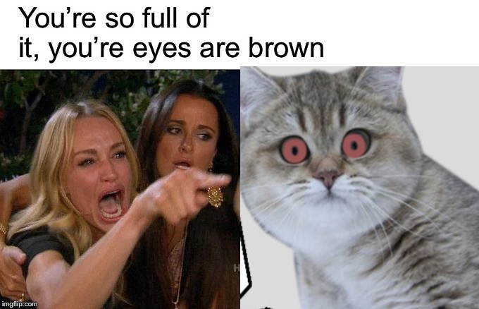 Woman Yelling At Cat Meme | O     O You’re so full of it, you’re eyes are brown | image tagged in memes,woman yelling at cat | made w/ Imgflip meme maker