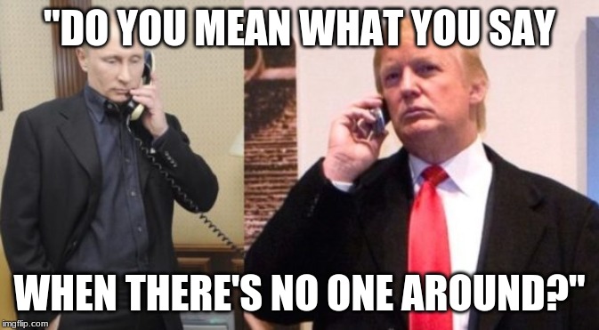 Trump Putin phone call | "DO YOU MEAN WHAT YOU SAY; WHEN THERE'S NO ONE AROUND?" | image tagged in trump putin phone call | made w/ Imgflip meme maker