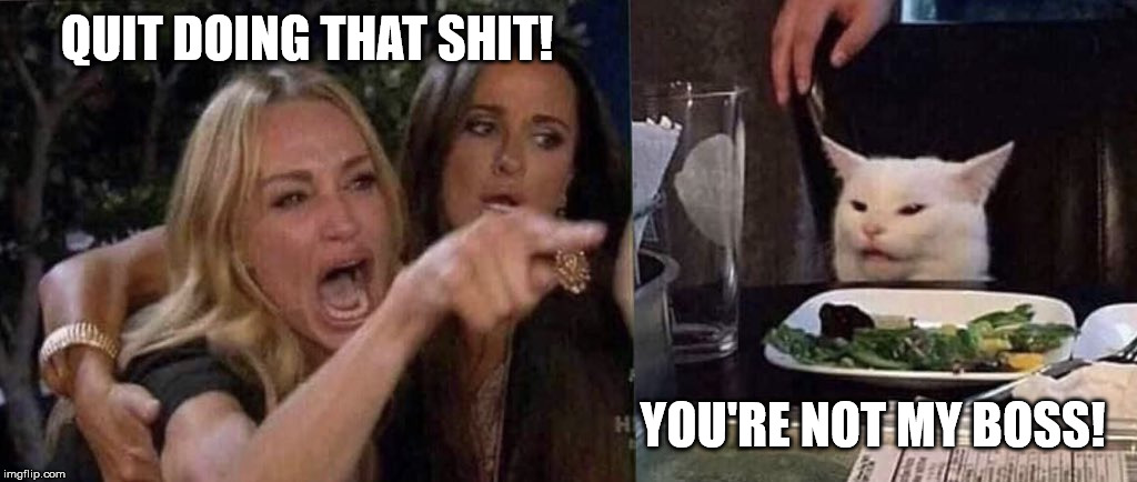 woman yelling at cat | QUIT DOING THAT SHIT! YOU'RE NOT MY BOSS! | image tagged in woman yelling at cat | made w/ Imgflip meme maker