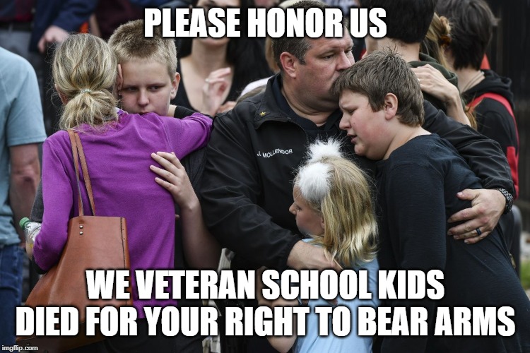 We salute your sacrifice for a free America |  PLEASE HONOR US; WE VETERAN SCHOOL KIDS DIED FOR YOUR RIGHT TO BEAR ARMS | image tagged in school shooting,guns,veterans,veterans day,patriots | made w/ Imgflip meme maker