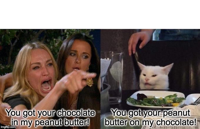 Woman Yelling At Cat Meme | You got your chocolate in my peanut butter! You got your peanut butter on my chocolate! | image tagged in memes,woman yelling at cat | made w/ Imgflip meme maker