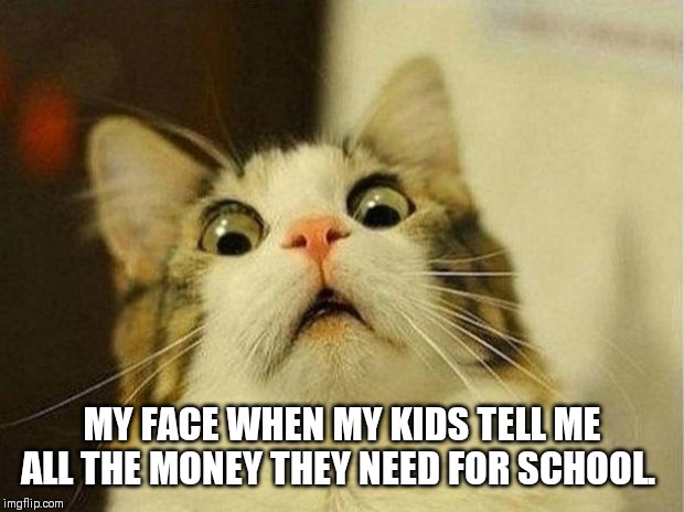 Scared Cat Meme | MY FACE WHEN MY KIDS TELL ME ALL THE MONEY THEY NEED FOR SCHOOL. | image tagged in memes,scared cat | made w/ Imgflip meme maker