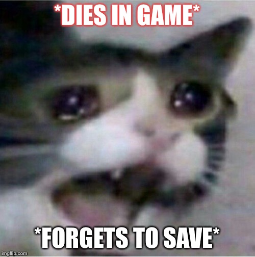crying cat | *DIES IN GAME*; *FORGETS TO SAVE* | image tagged in crying cat | made w/ Imgflip meme maker