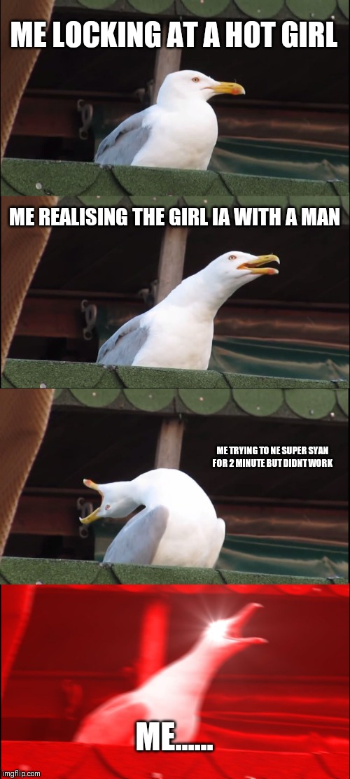 Inhaling Seagull | ME LOCKING AT A HOT GIRL; ME REALISING THE GIRL IA WITH A MAN; ME TRYING TO NE SUPER SYAN FOR 2 MINUTE BUT DIDNT WORK; ME...... | image tagged in memes,inhaling seagull | made w/ Imgflip meme maker