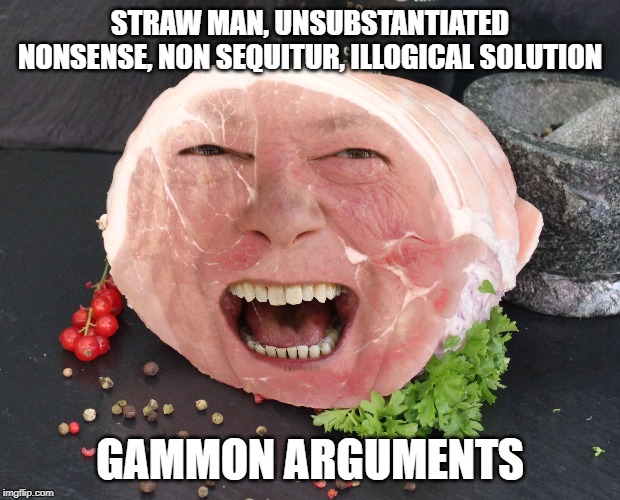 Gammon | STRAW MAN, UNSUBSTANTIATED NONSENSE, NON SEQUITUR, ILLOGICAL SOLUTION; GAMMON ARGUMENTS | image tagged in gammon | made w/ Imgflip meme maker