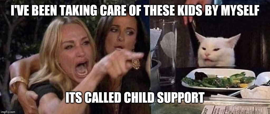 woman yelling at cat | I'VE BEEN TAKING CARE OF THESE KIDS BY MYSELF; ITS CALLED CHILD SUPPORT | image tagged in woman yelling at cat | made w/ Imgflip meme maker