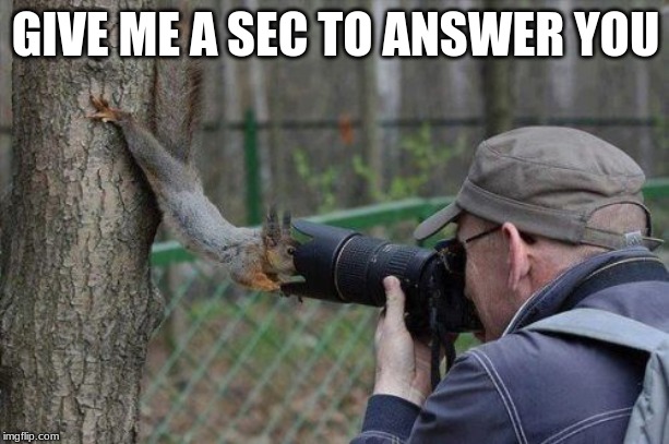 Jehovas Witness Squirrel Meme | GIVE ME A SEC TO ANSWER YOU | image tagged in memes,jehovas witness squirrel | made w/ Imgflip meme maker