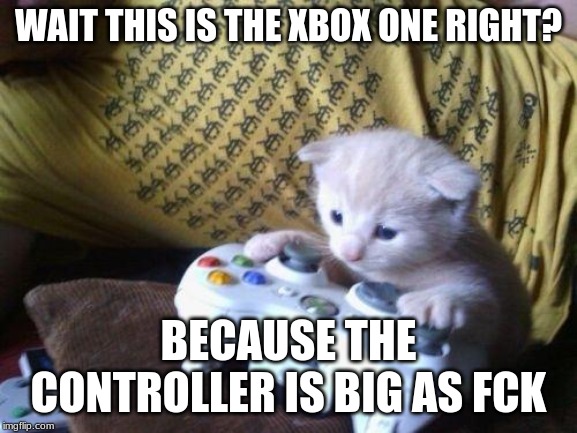 cute kitty on xbox | WAIT THIS IS THE XBOX ONE RIGHT? BECAUSE THE CONTROLLER IS BIG AS FCK | image tagged in cute kitty on xbox | made w/ Imgflip meme maker