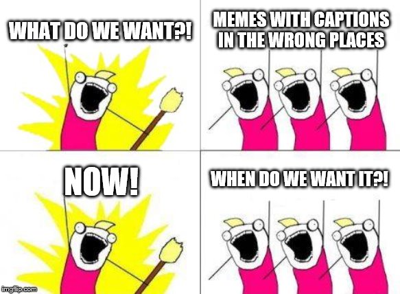 What Do We Want | WHAT DO WE WANT?! MEMES WITH CAPTIONS IN THE WRONG PLACES; WHEN DO WE WANT IT?! NOW! | image tagged in memes,what do we want | made w/ Imgflip meme maker
