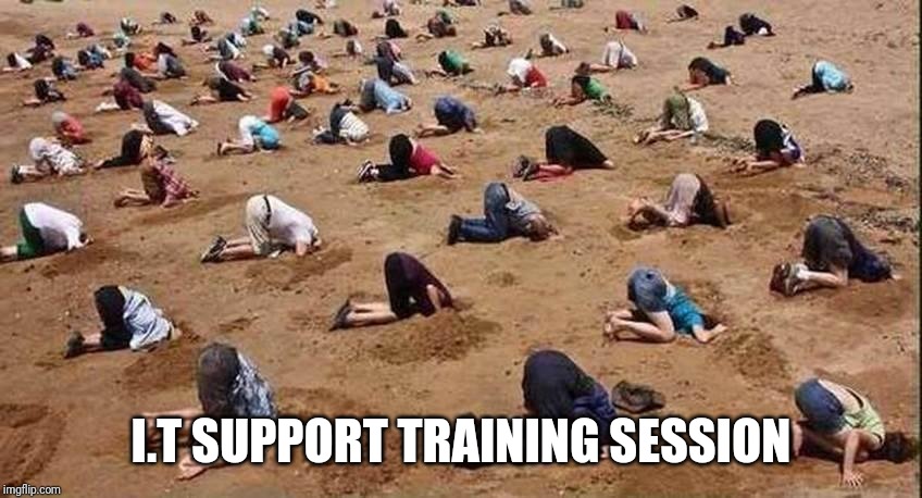 Training Day | I.T SUPPORT TRAINING SESSION | image tagged in it | made w/ Imgflip meme maker
