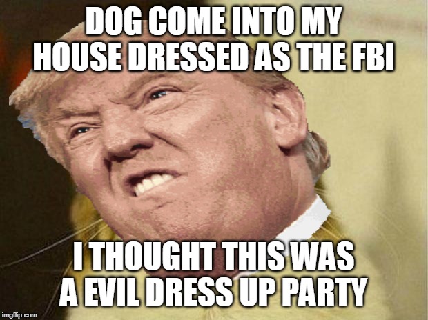 What is a party | DOG COME INTO MY HOUSE DRESSED AS THE FBI; I THOUGHT THIS WAS A EVIL DRESS UP PARTY | image tagged in wierd stuff i do potoo | made w/ Imgflip meme maker