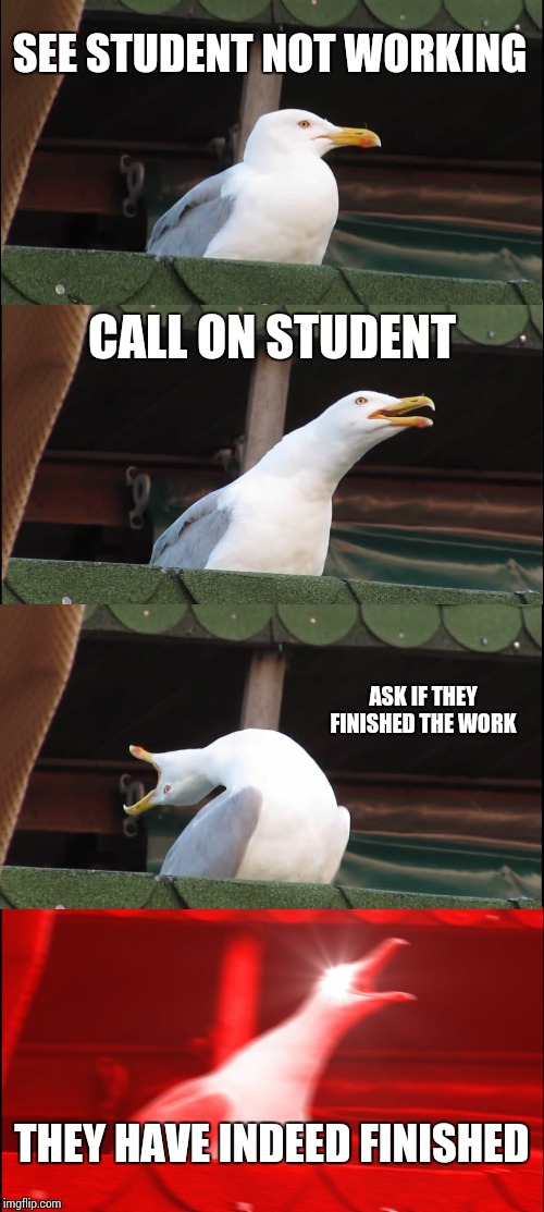 Inhaling Seagull Meme | SEE STUDENT NOT WORKING; CALL ON STUDENT; ASK IF THEY FINISHED THE WORK; THEY HAVE INDEED FINISHED | image tagged in memes,inhaling seagull | made w/ Imgflip meme maker