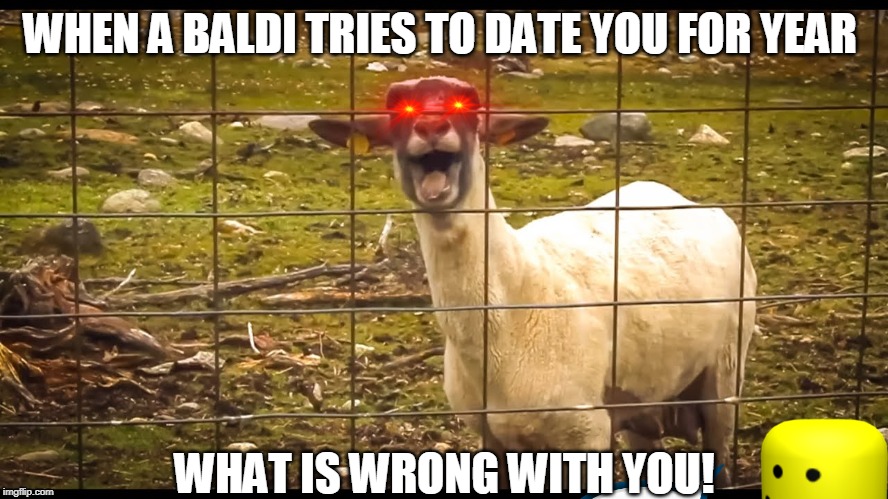 They call it Baaaldi love | WHEN A BALDI TRIES TO DATE YOU FOR YEAR; WHAT IS WRONG WITH YOU! | image tagged in but thats none of my business | made w/ Imgflip meme maker