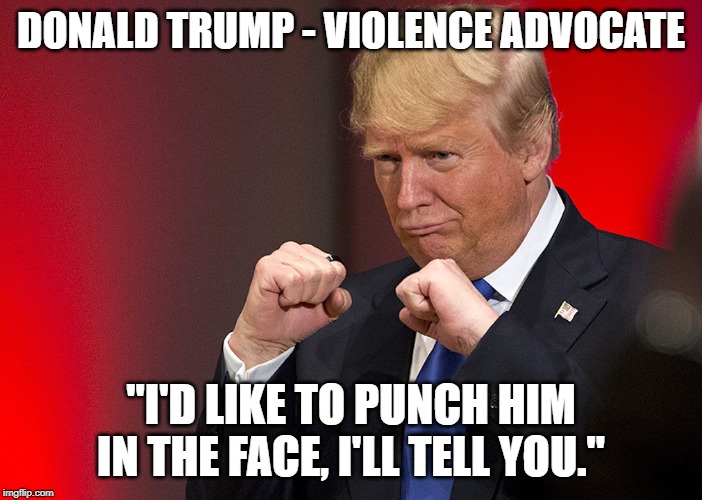 Donald Trump fists | DONALD TRUMP - VIOLENCE ADVOCATE; "I'D LIKE TO PUNCH HIM IN THE FACE, I'LL TELL YOU." | image tagged in donald trump fists | made w/ Imgflip meme maker