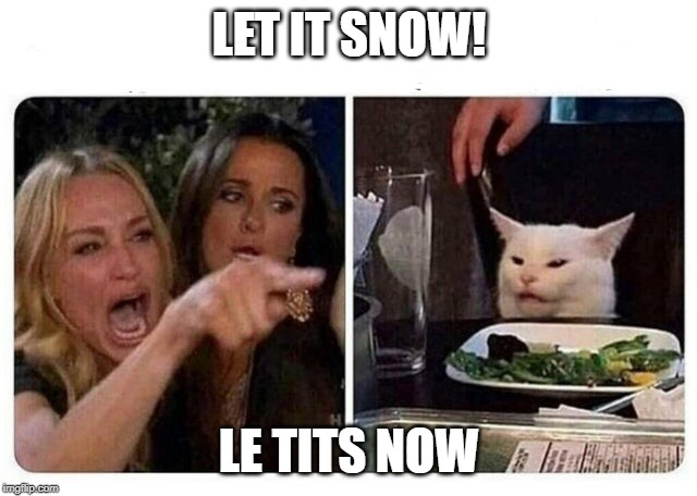 Cat at Dinner | LET IT SNOW! LE TITS NOW | image tagged in cat at dinner | made w/ Imgflip meme maker