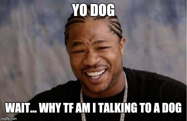 Yo Dawg Heard You Meme | YO DOG; WAIT... WHY TF AM I TALKING TO A DOG | image tagged in memes,yo dawg heard you | made w/ Imgflip meme maker