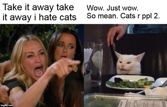 Woman Yelling At Cat Meme | Take it away take it away i hate cats; Wow. Just wow. So mean. Cats r ppl 2. | image tagged in memes,woman yelling at cat | made w/ Imgflip meme maker