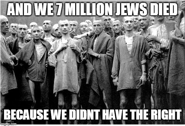 Holocaust  | AND WE 7 MILLION JEWS DIED BECAUSE WE DIDNT HAVE THE RIGHT | image tagged in holocaust | made w/ Imgflip meme maker