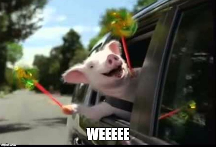 Geico Weeee Pig | WEEEEE | image tagged in geico weeee pig | made w/ Imgflip meme maker