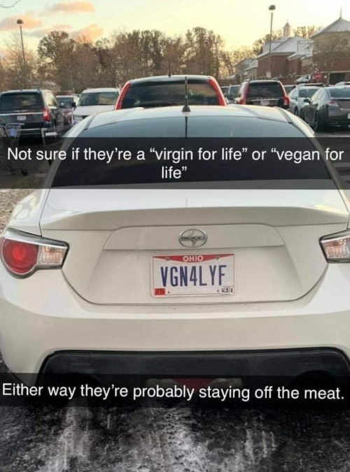 Vegan or Virgin? Either way they're probably staying off the meat. | image tagged in vegan4life,virgin4life,staying off the meat,meatloaf,national sex week,noassatall | made w/ Imgflip meme maker