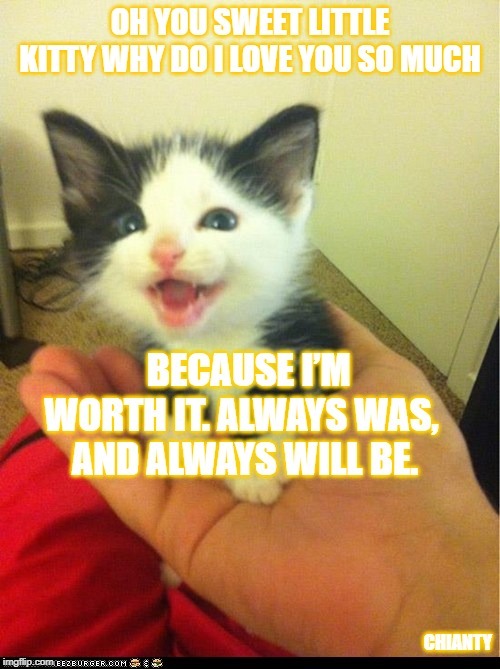 Sweet Kitty | image tagged in invisible | made w/ Imgflip meme maker